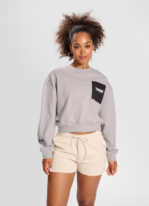 Actual product image hummel Hmllgc Dacia Sweatshirt (M)