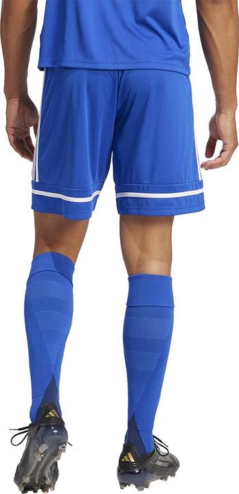 Actual product image adidas Squadra 25 Short (M)
