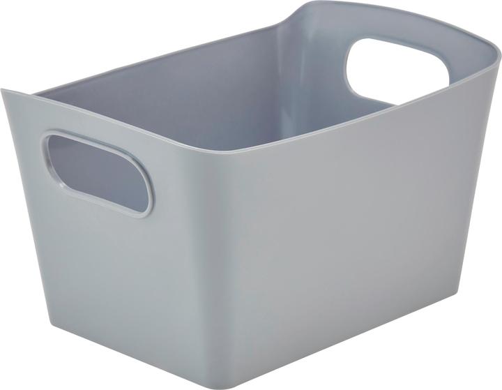 HomeZone Box with handles S (0.90 l)
