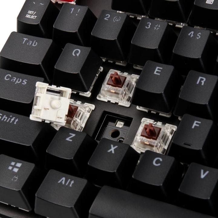 Actual product image Glorious PC Gaming Race GMMK-BRN-V2 full size, ANSI US standards, Gateron Brown Switch (US, Cable)
