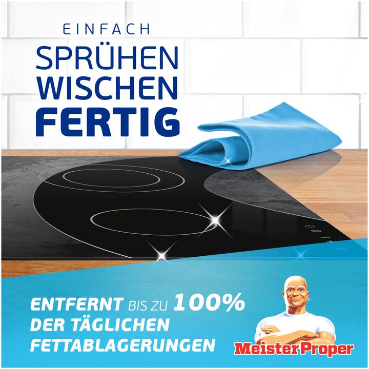 Actual product image Meister Proper Sprühen Wischen Fertig