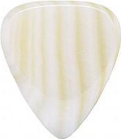 Immagine prodotto Timber Tone Conchiglia d'acqua dolce Madreperla(1) (1 x)