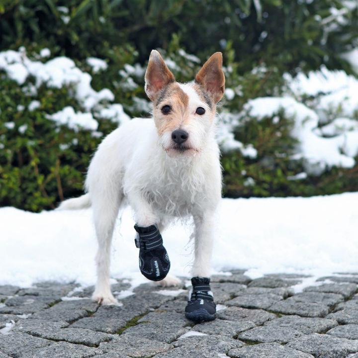 Actual product image Trixie Paw Protector Walker Active Gr. XS-S (XS, S, Dog boots)