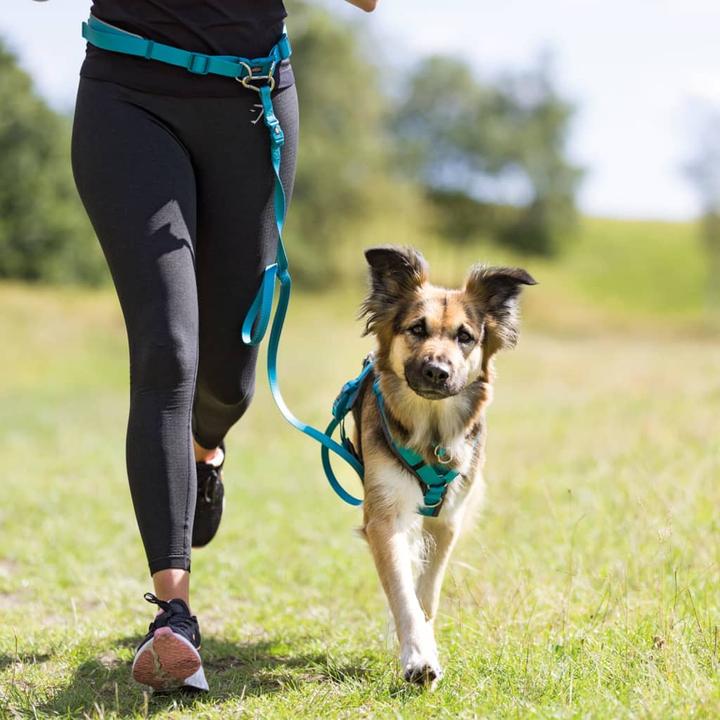 Productafbeelding Trixie Buikriem met riem (S, M, Hond, Joggen)