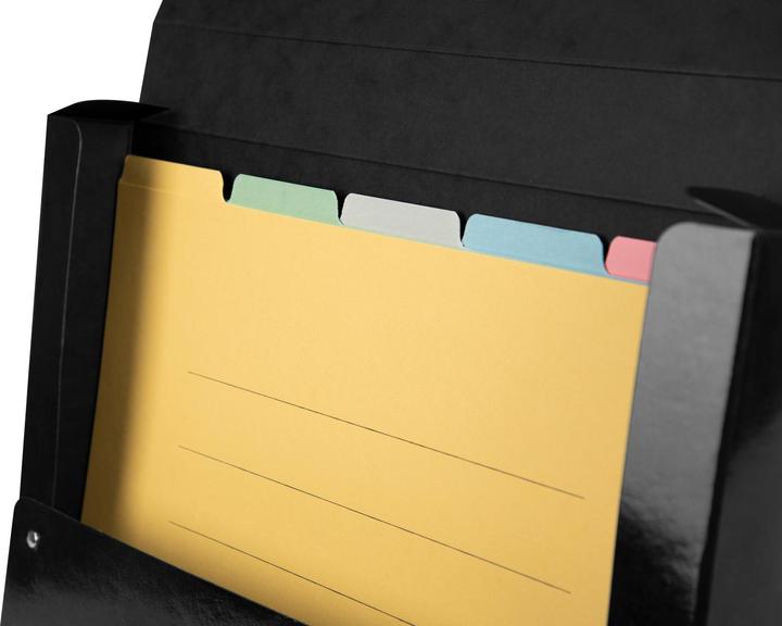 Actual product image Biella register folder (A4, 5 x)