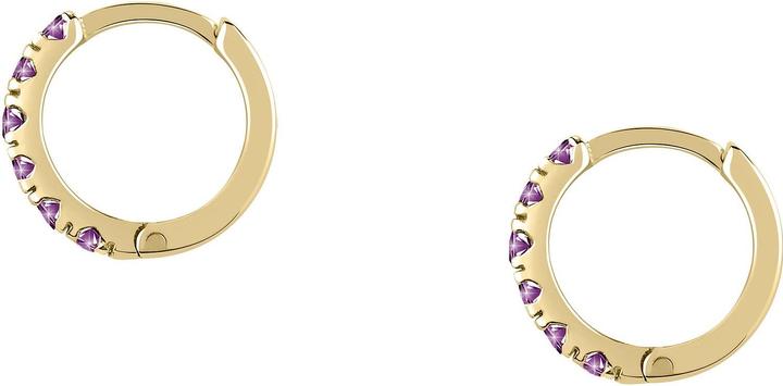Actual product image Favs Creolen (375 yellow gold)