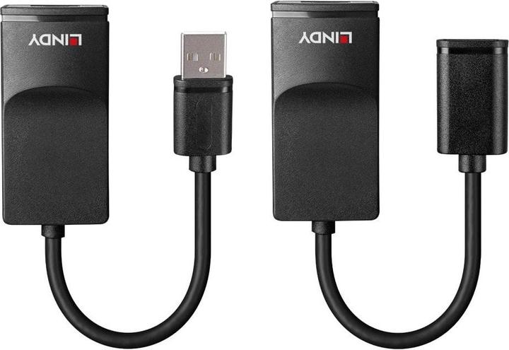Lindy 60m USB 1.1 Cat.6 Extender Basic 60m USB 1.1 Verlängerung (CAT6, 60 m)