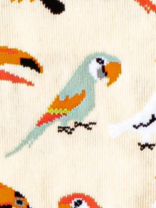 Produktbild DillySocks Sand Aviary (Einzelpack, 36 - 41)