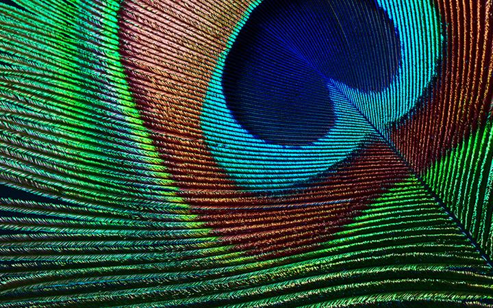 Image du produit Epson EH-TW7000 (4K, 3000 lm, 1.32 - 2.15:1)
