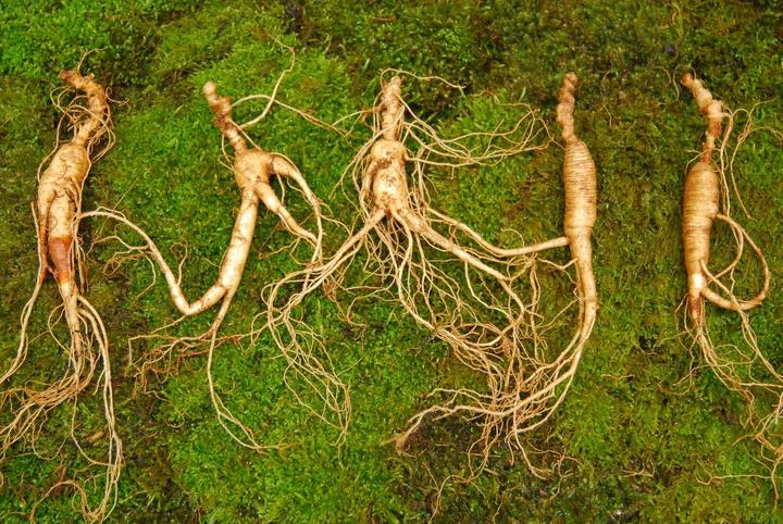 Immagine prodotto Arkopharma Arkocaps Ginseng Kapseln (45 Pezzo/i, Pillole, 45 g)