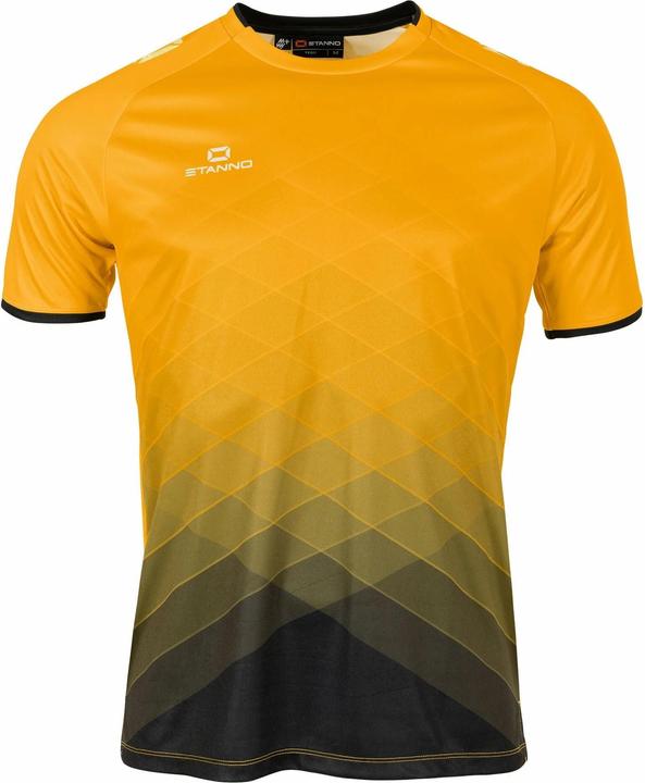 Actual product image Stanno Altius Jersey (140)