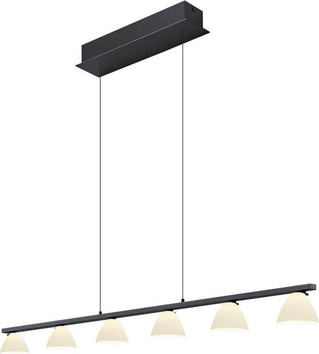 Image du produit Hell Mona Lampe suspendue G9 5x Noir 20575/6-06 (G9)