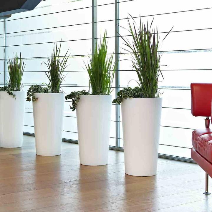 Actual product image Euro3plast Tuit (33 cm)