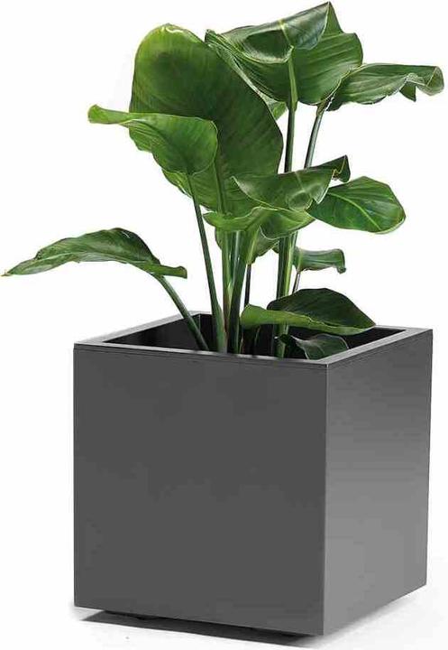 Actual product image Euro3plast Planter (39.50 cm)