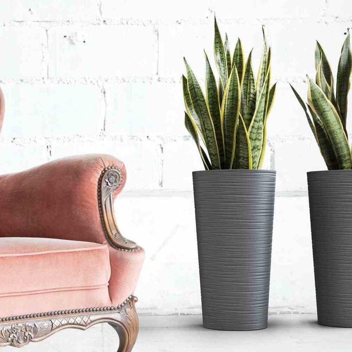Produktbild Siena Garden Modern (25 cm)