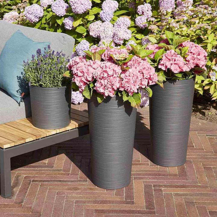 Produktbild Siena Garden Modern (25 cm)