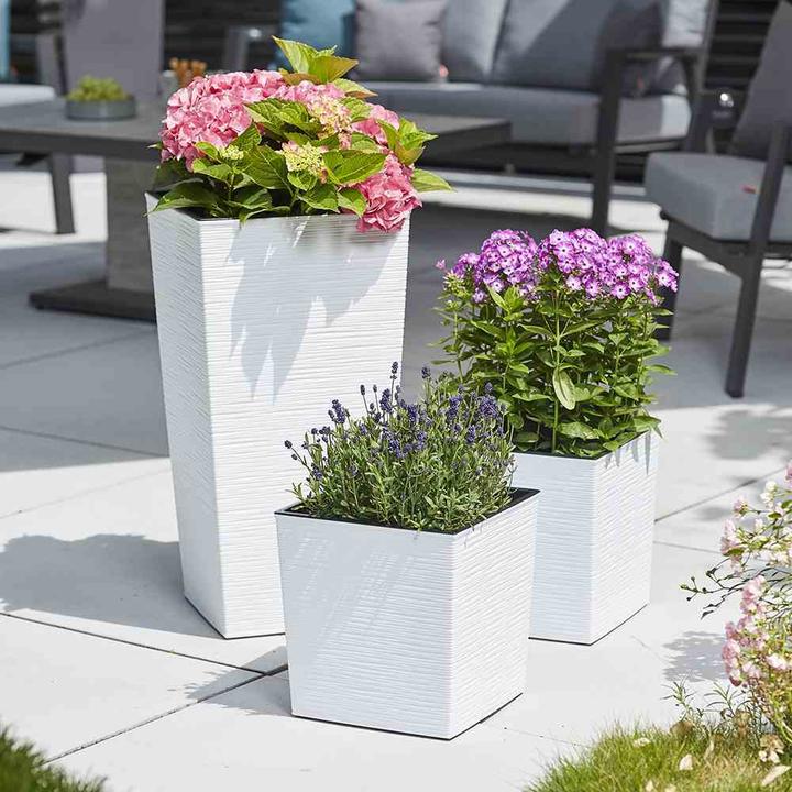 Produktbild Siena Garden Modern (25 cm)