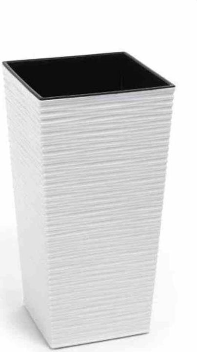 white groove