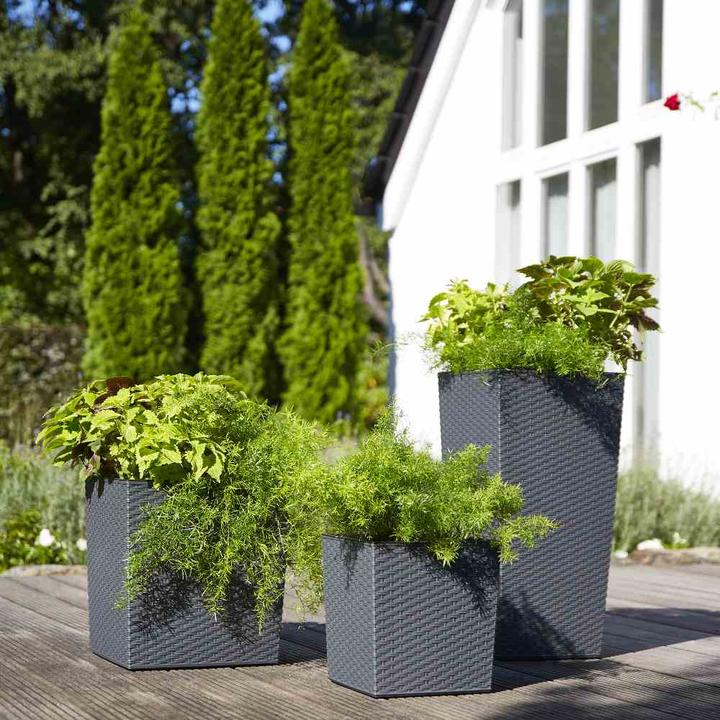 Actual product image Siena Garden Modern (25 cm)