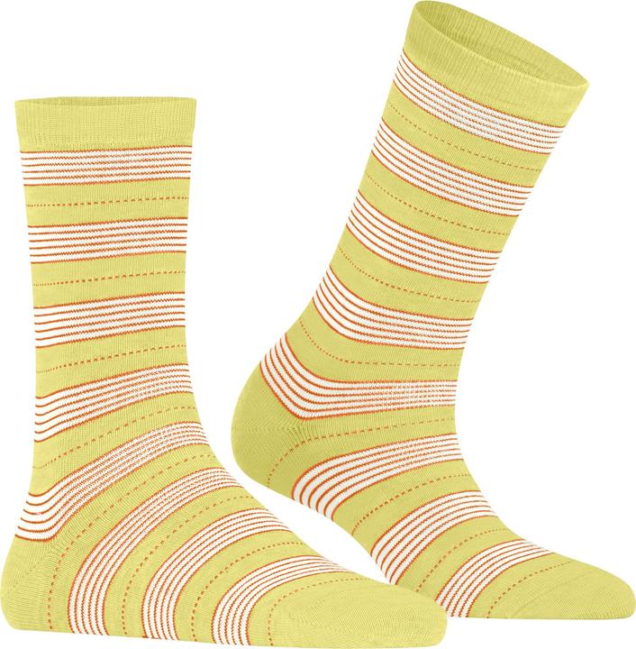 Image du produit Falke Stripe Uniform SO (35 - 38)