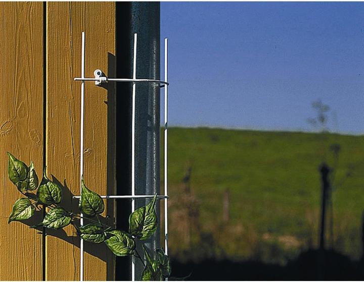 Immagine prodotto Siena Garden Downpipe traliccio (150 cm, 245 cm)