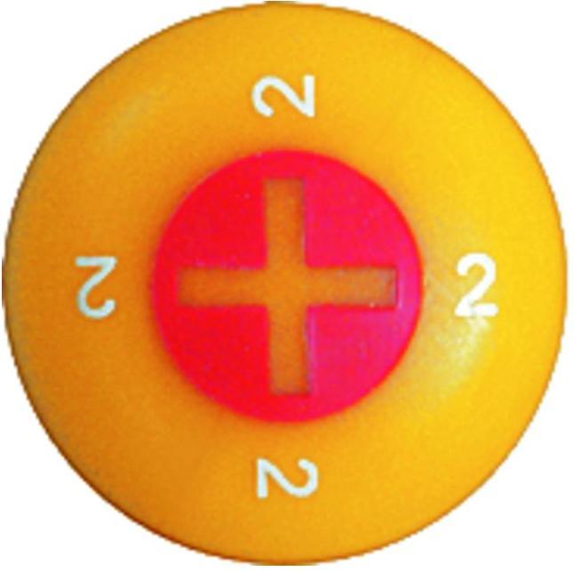 Actual product image PB Swiss Tools Screwdriver PB 5190 2-100 (Phillipps cross recess (PH))