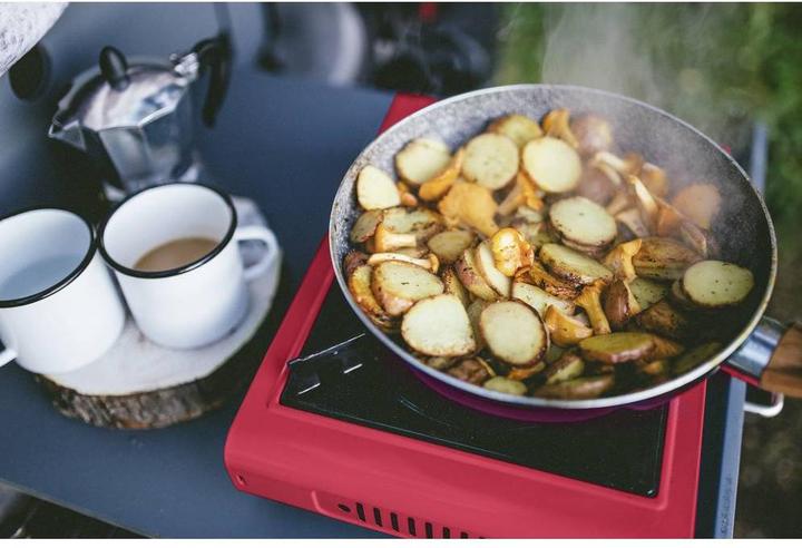Actual product image Rothenberger Industrial Gas Camping Stove Gourmet Piezo RS 220 1500003730 Stainless Steel
