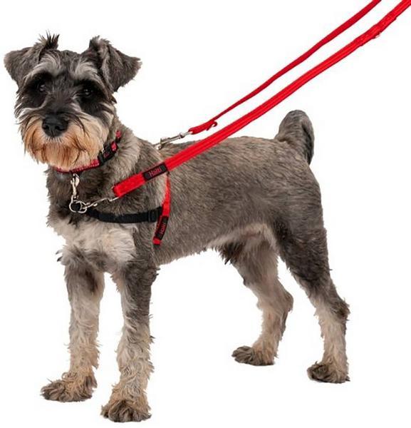 Image du produit Company of Animals Halti Anti-Traction S Front Control (S, Chien, Général)