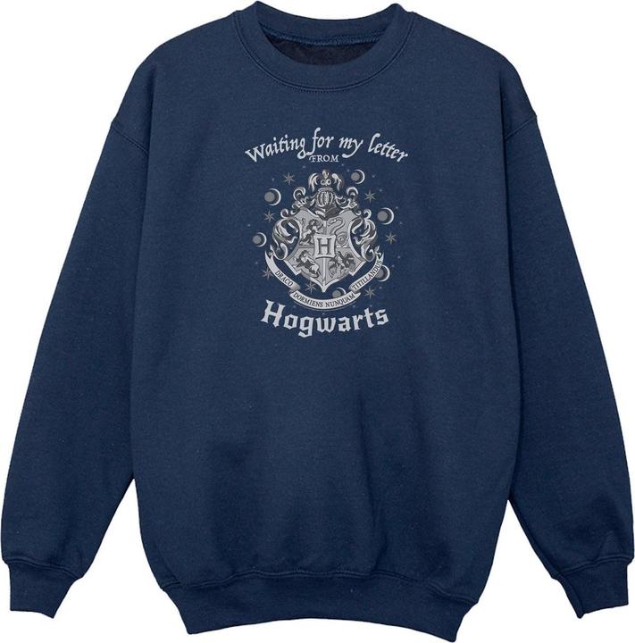 Image du produit Hogwarts Waiting For My Letter Sweat-shirt Garçons (140, 146)