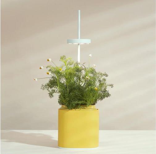 Produktbild Prêt à Pousser Kräutertopf Nano, Mimosa Yellow (13.50 cm)