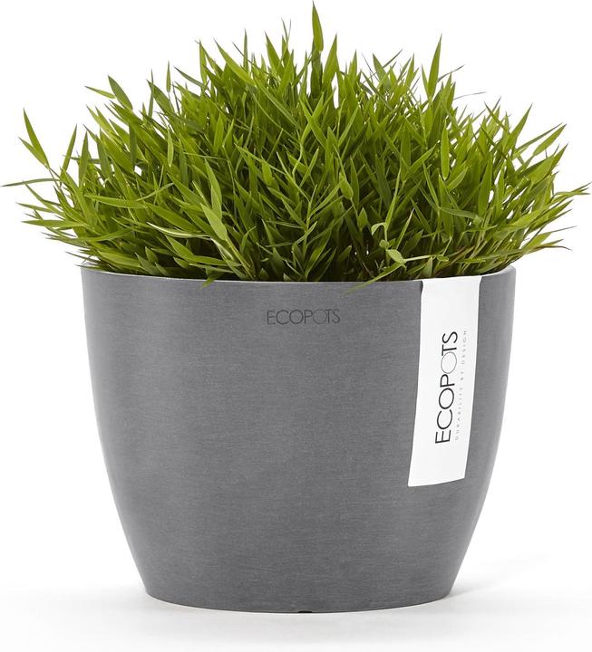 Actual product image Ecopots Stockholm (16 cm)