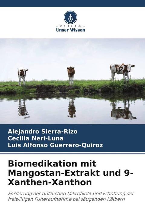 Immagine prodotto Biomedicazione con estratto di mangostano e 9-xantene xantone (Tedesco, Cecilia Neri-Luna, Alejandro Sierra-Rizo, Luis Alfonso Guerrero-Quiroz, 2022)