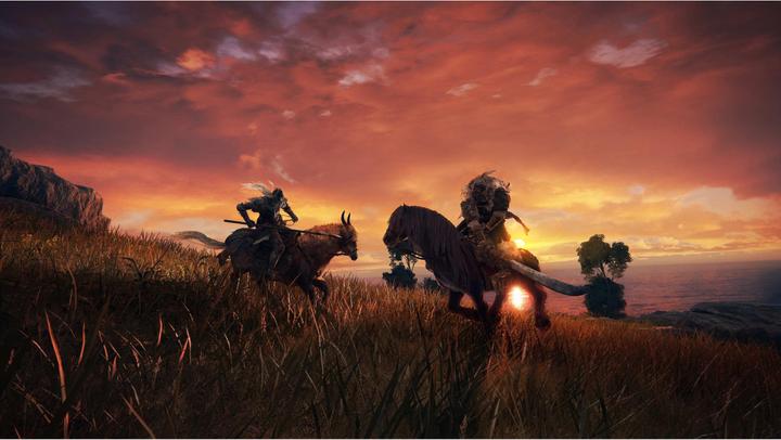 Image du produit Bandai Namco Elden Ring (PC)