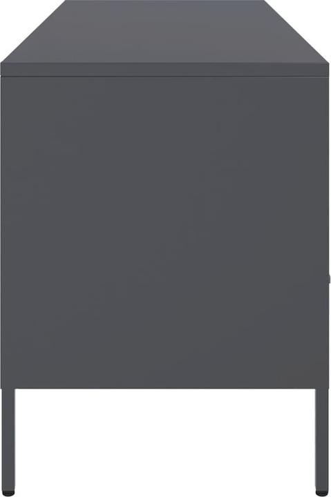 Actual product image VidaXL Latrell (100.5 x 39 x 50.5 cm)
