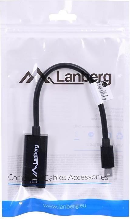 Image du produit Lanberg Mini DP zu (Mini DP, 20 cm)