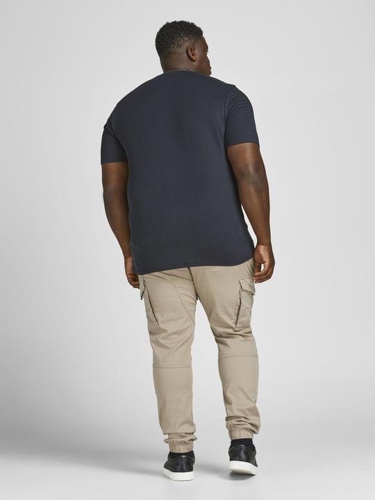 Image du produit Jack & Jones Paul Flake AKM 542 Pantalon Cargo Plus Size (42)