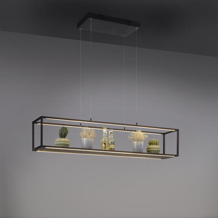 Image du produit Paul Neuhaus Contura (850 lm)