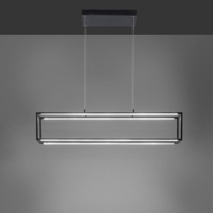 Image du produit Paul Neuhaus Contura (850 lm)