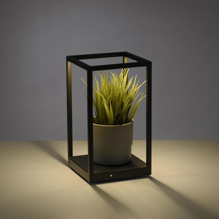 Image du produit Paul Neuhaus Contura (140 lm)