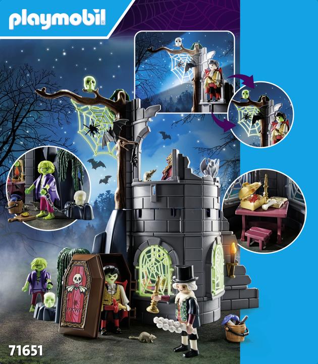 Image du produit Playmobil Ruine hantée (71651)