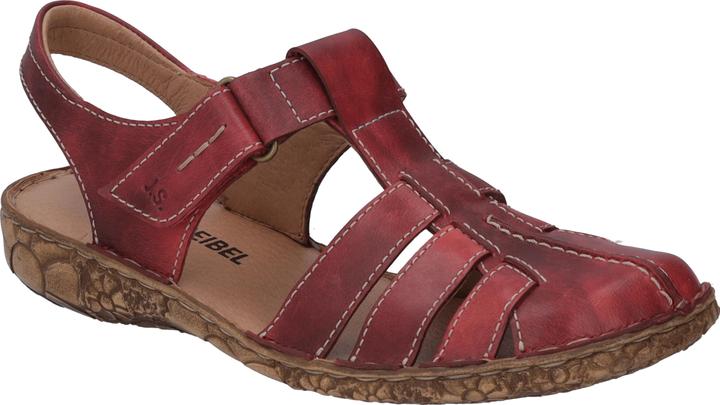 Rot