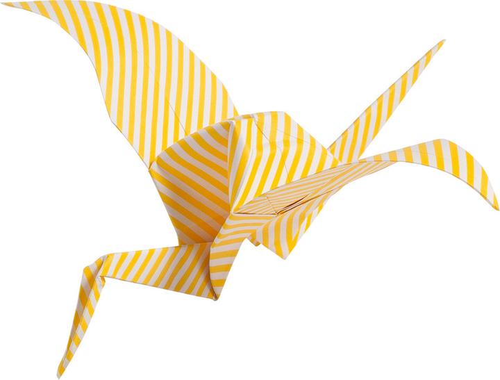 Actual product image Folia Leaflets Basic intensive (80 g/m², 50 x)
