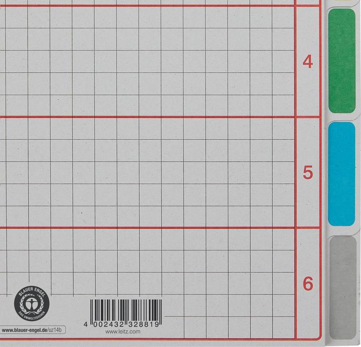 Actual product image Leitz Register cardboard