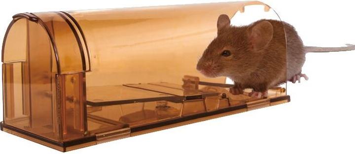 Actual product image Knock Off Live mousetrap