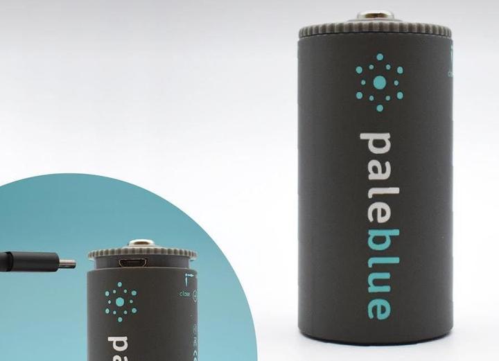 Immagine prodotto Pale Blue Batterie D (2 pz., D, 5000 mAh)