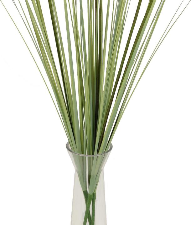 Image du produit Casativo Herbe de la pampa artificielle