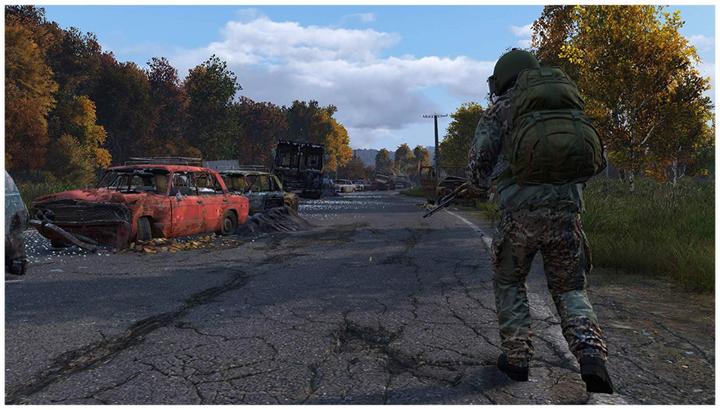 Actual product image Sold Out DayZ (PS4, DE)