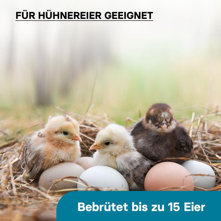 Produktbild Wiltec Brutmaschine