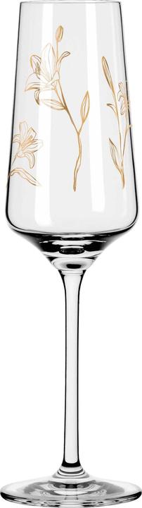 Actual product image Ritzenhoff Champagne glass Rosé Breeze No. 4 - Marvin Benzoni 233 ml (23.30 cl, 1 Glasses, Champagne glasses)