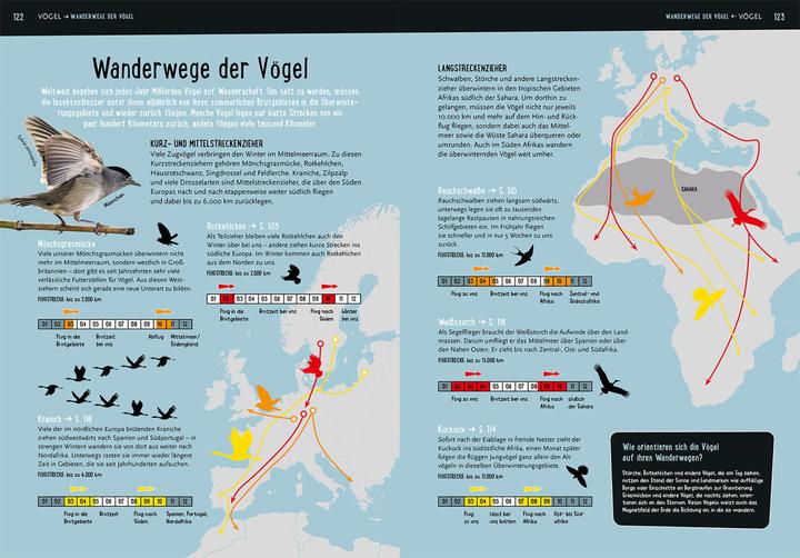 Image du produit Kosmos Mein Kosmos-Buch Natur (Allemand, Bärbel Oftring, 2023)